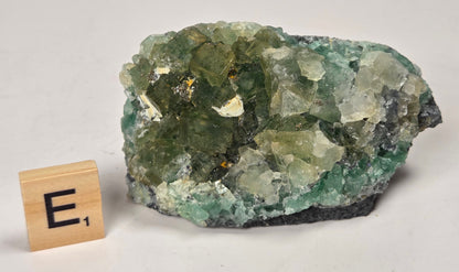 A green and white crystalline mineral specimen with a dark matrix base, shown on a light gray background next to a small wooden letter tile marked E1.