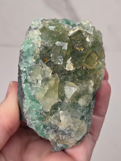 A hand holding a raw mineral specimen with green and translucent white crystalline formations on a dark gray matrix, photographed against a light neutral background.