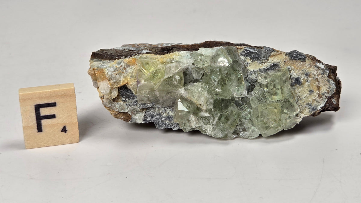 A natural mineral specimen with pale green fluorite crystals on a brown and gray matrix, photographed on a light gray background next to a small wooden letter tile showing the letter F.