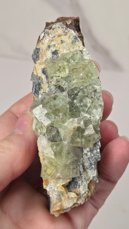 A hand holding a raw mineral specimen featuring light green fluorite crystals on a tan and gray matrix, set against a neutral light gray background.