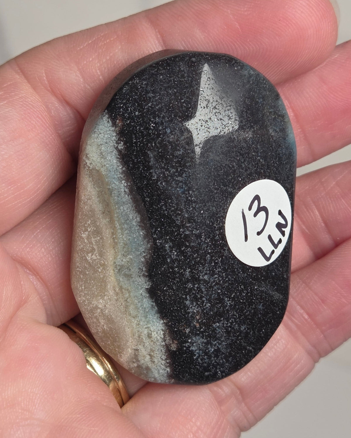 A hand holding a polished black stone with natural gray and beige veining, featuring a small white sticker that reads '13 LNW'.
