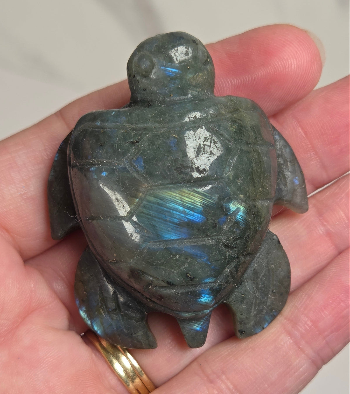 A carved sea turtle figurine made of iridescent labradorite stone, held in a person's hand. The turtle features a dark gray-green base color with vibrant blue and green flashes (opalescent sheen) on its shell.