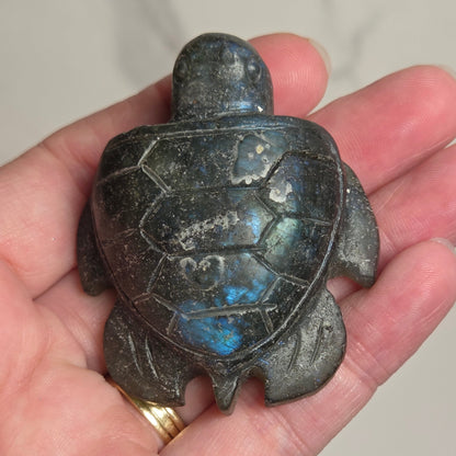 A hand holding a carved turtle figurine made of dark stone with a blue iridescent sheen, likely labradorite.