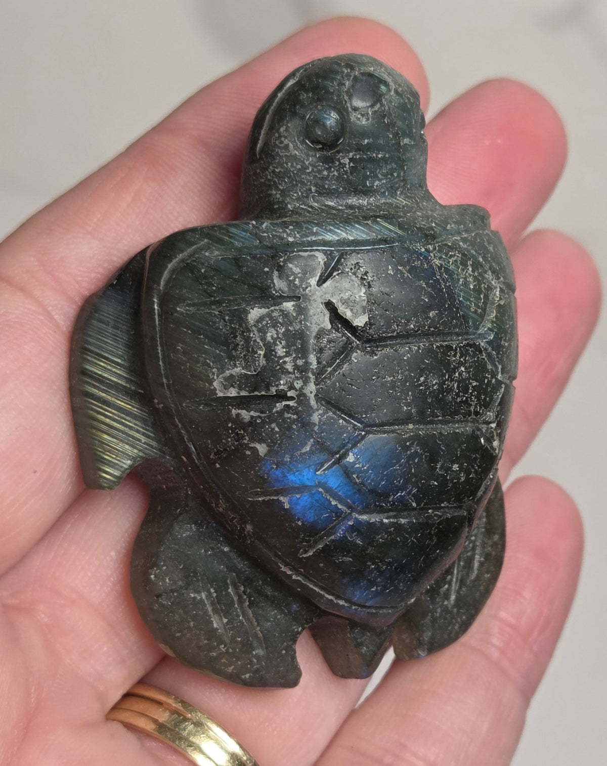 A hand holding a carved sea turtle figurine made of dark stone with a blue iridescent sheen on its shell, set against a light marble background.