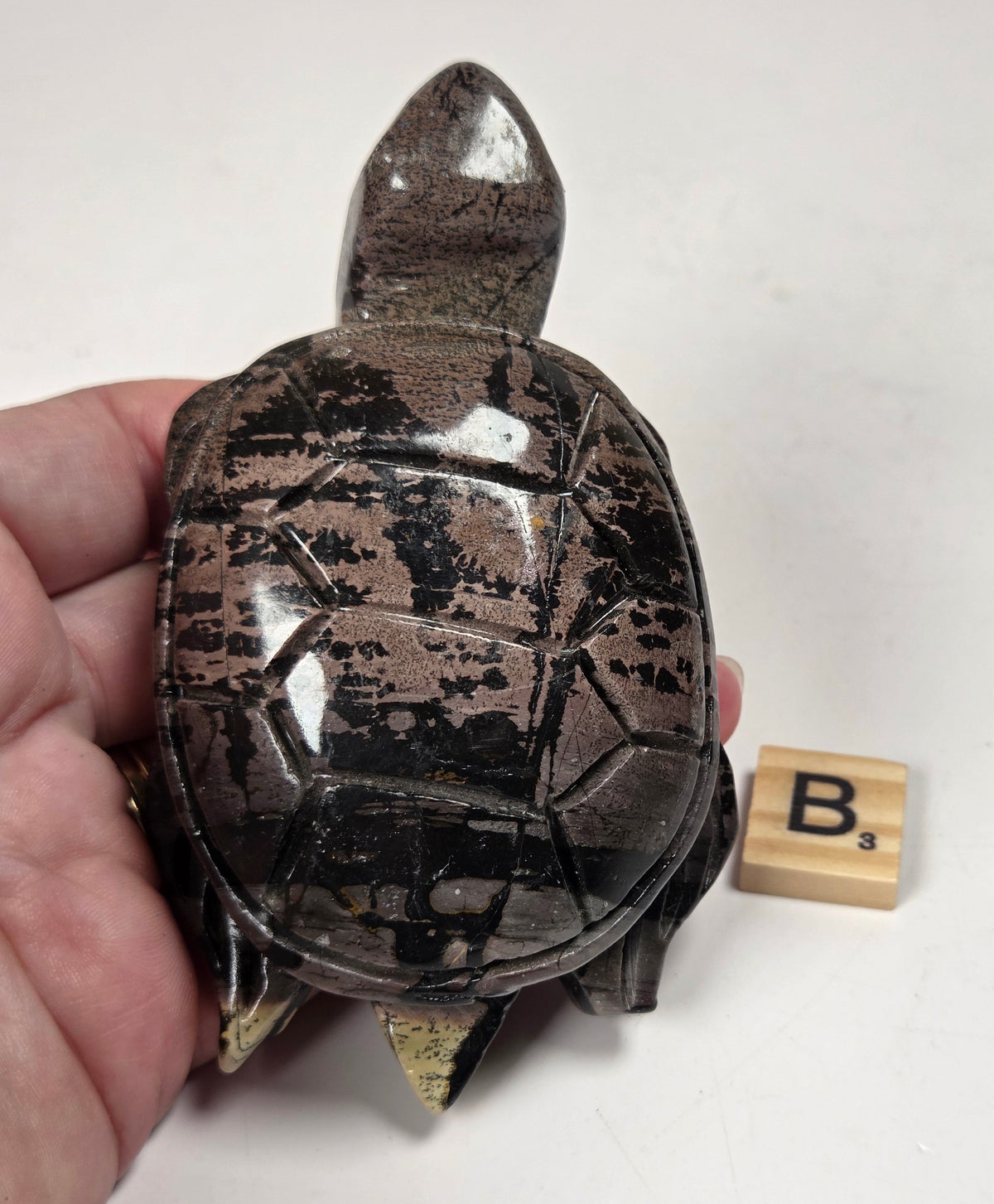 A hand holds a small glossy tortoise figurine with a dark brown and black mottled shell, shown next to a wooden letter block on a plain white background.