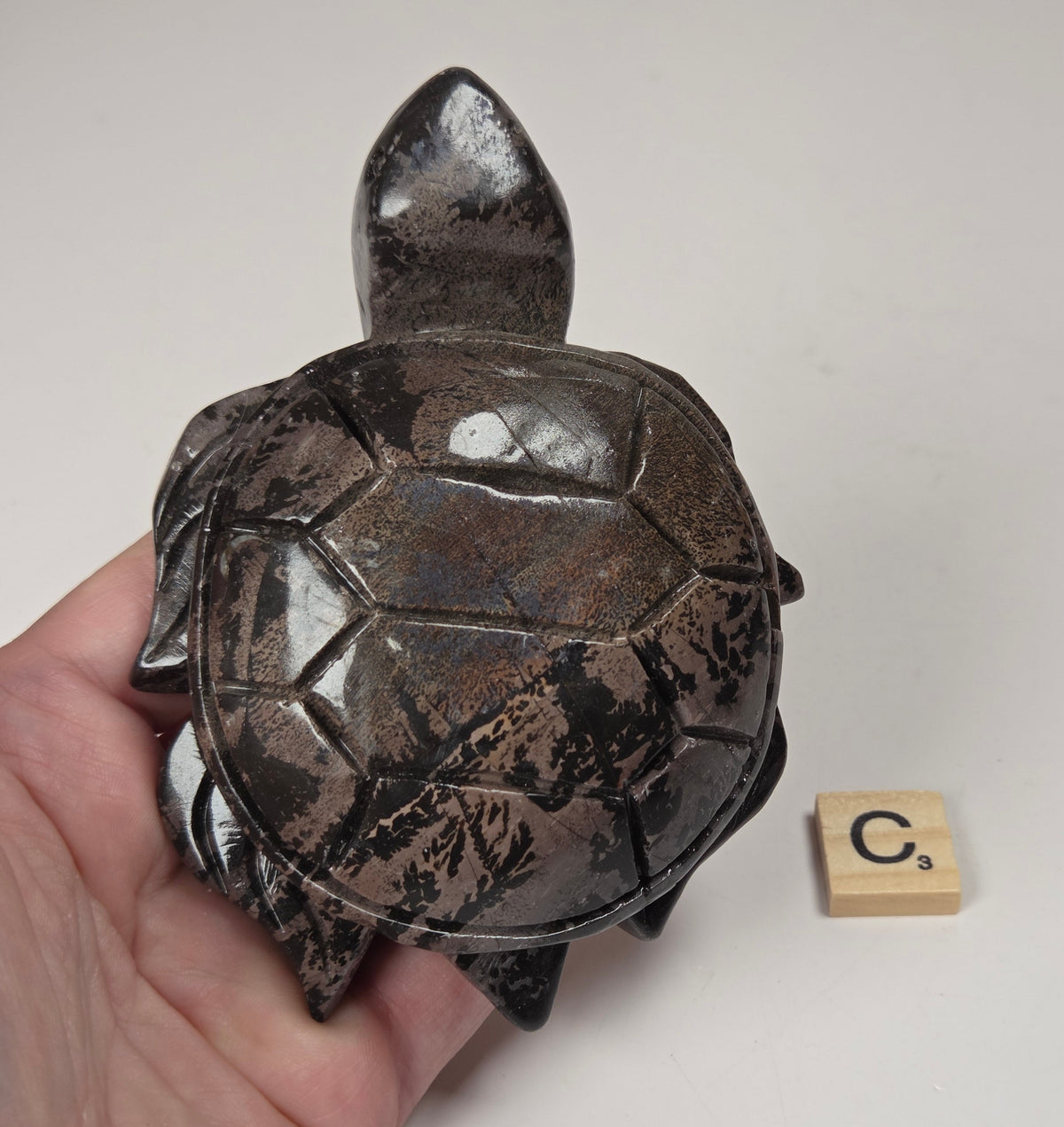 A hand holds a small dark tortoise figurine with a glossy, textured shell. A wooden Scrabble tile with the letter 'C' sits to the right on a plain off-white background.