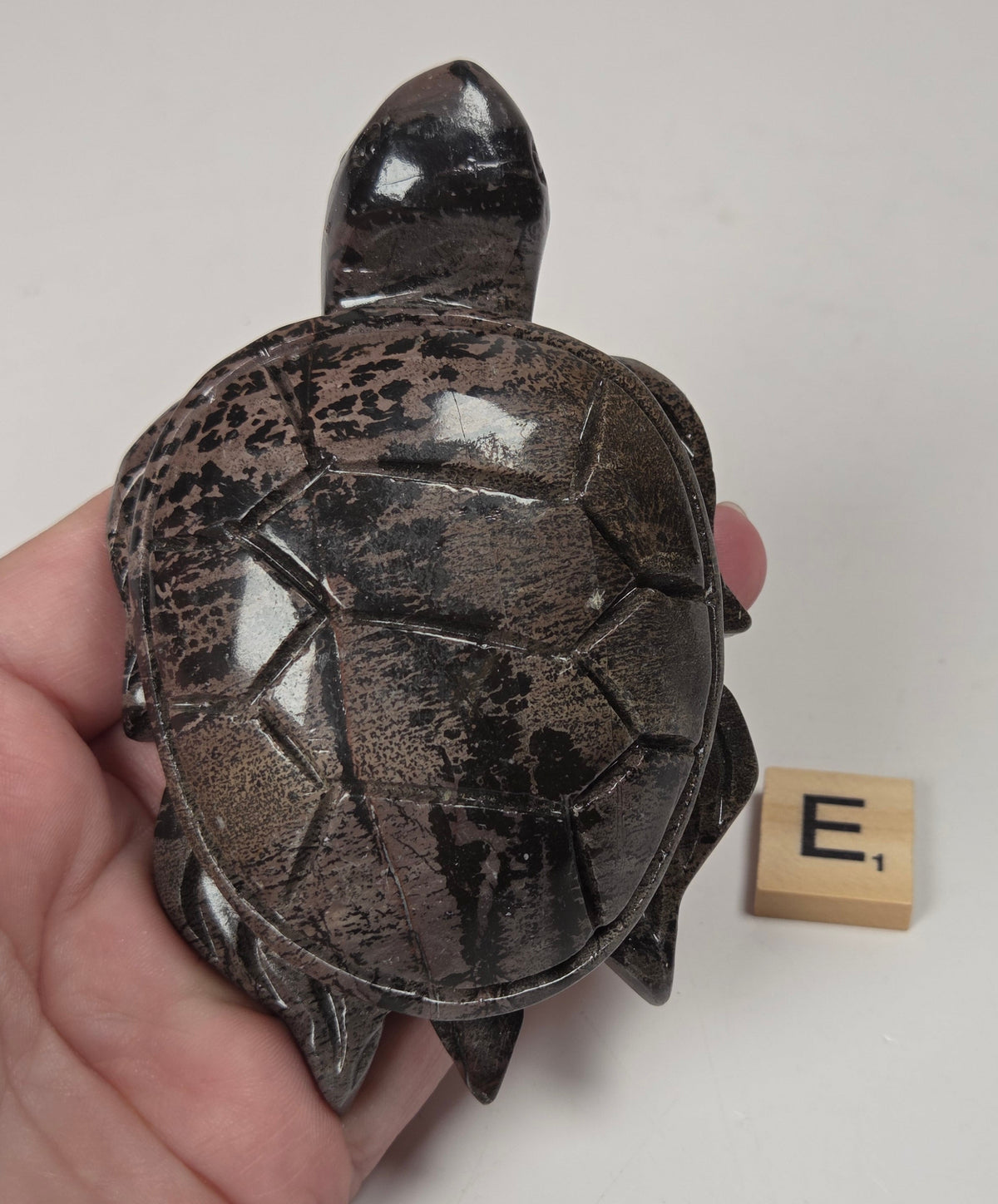 A hand holding a small carved turtle figurine with a glossy dark brown and black shell, shown next to a wooden Scrabble tile with the letter E on a plain light background.