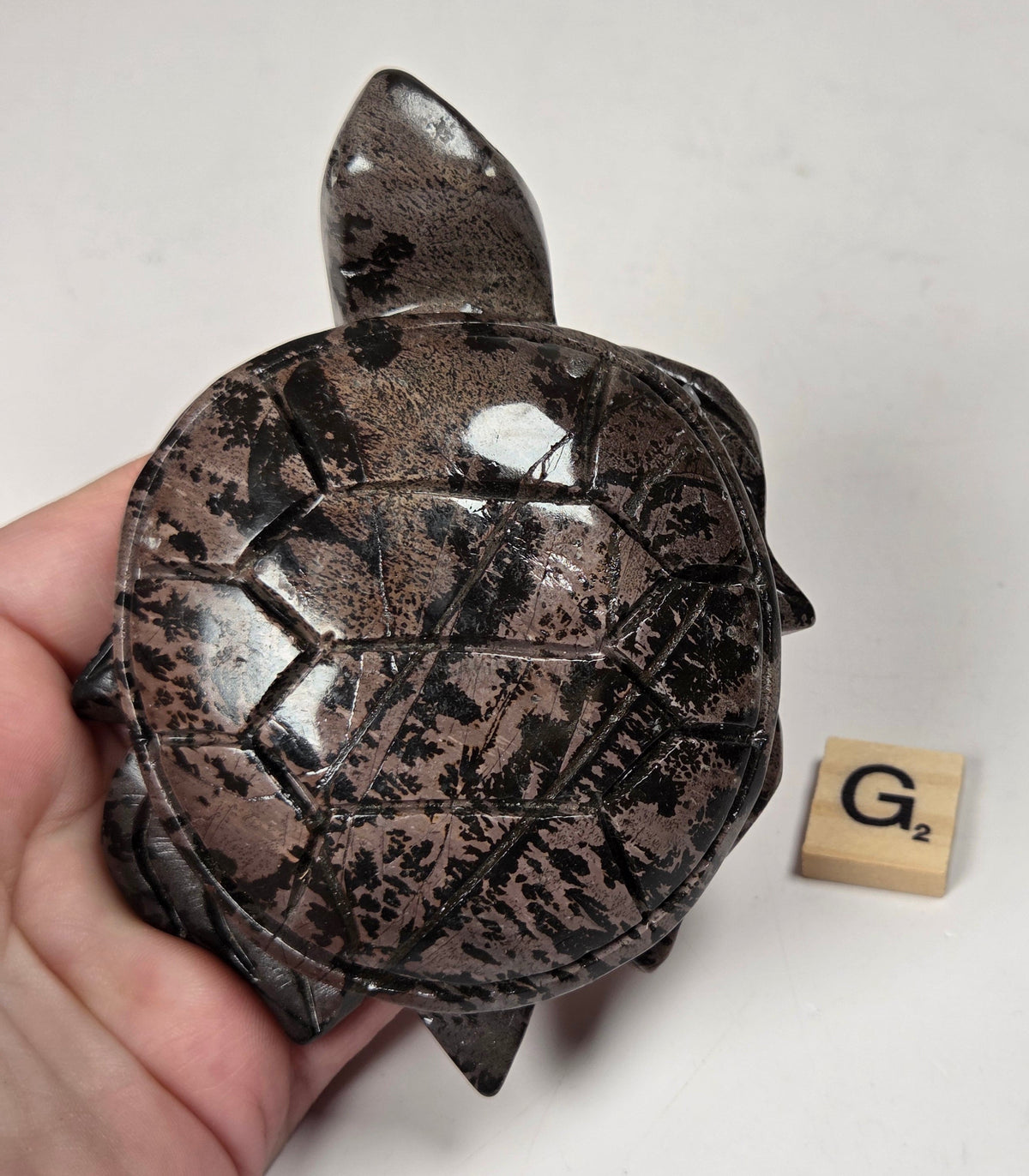 A hand holds a small carved turtle figurine with a glossy dark brown and black marbled shell, shown next to a small wooden Scrabble tile on a plain light background.