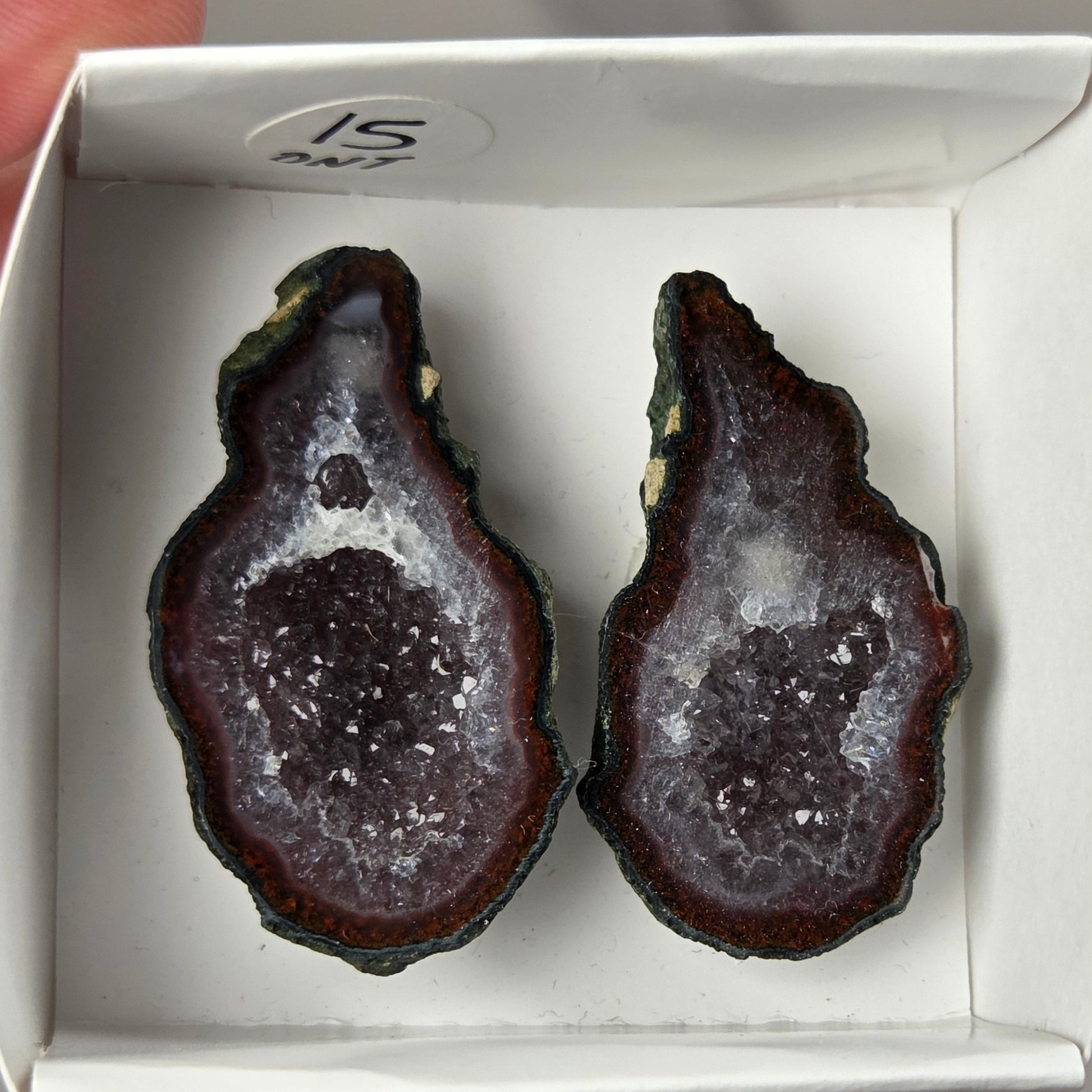 A pair of geode slices with dark brown and black outer layers and white crystal-like centers, displayed inside a small white box held by a hand.