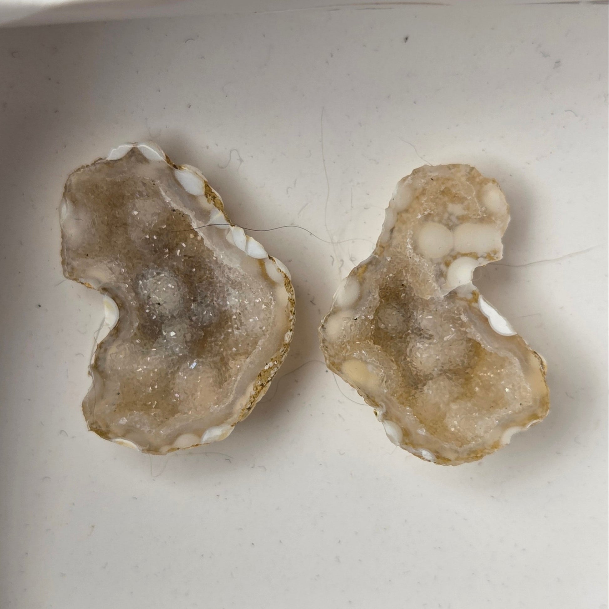 A pair of geode slices with white crystal-like centers, displayed inside a small white box held by a hand.