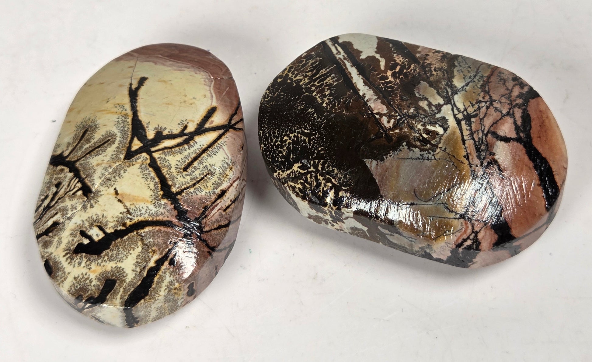picture jasper palm carved stones with various colors of yellow, brown and reddish brown on a white background