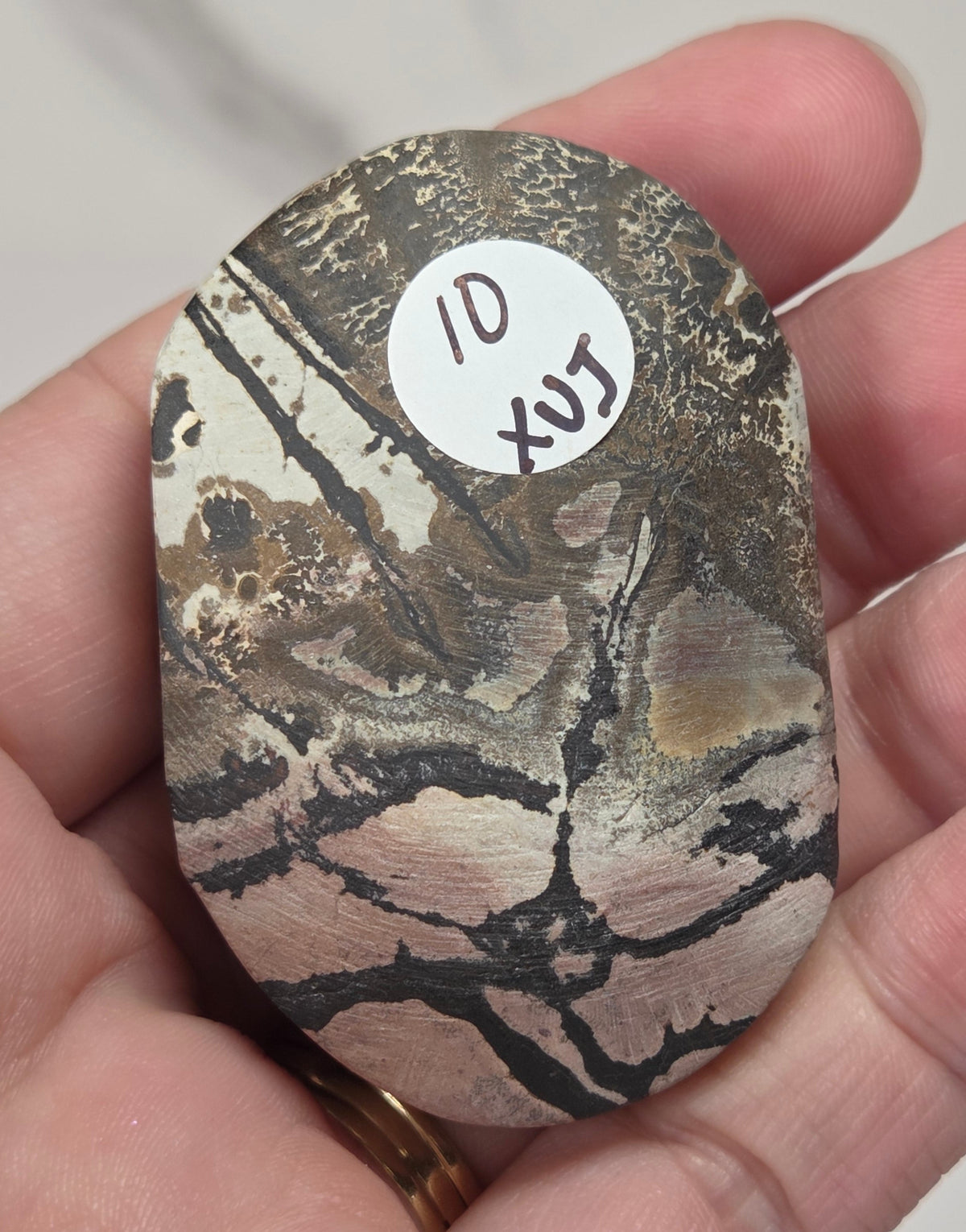 hand holding a picture jasper palm carved stones with various colors of yellow, brown and reddish brown on a white background