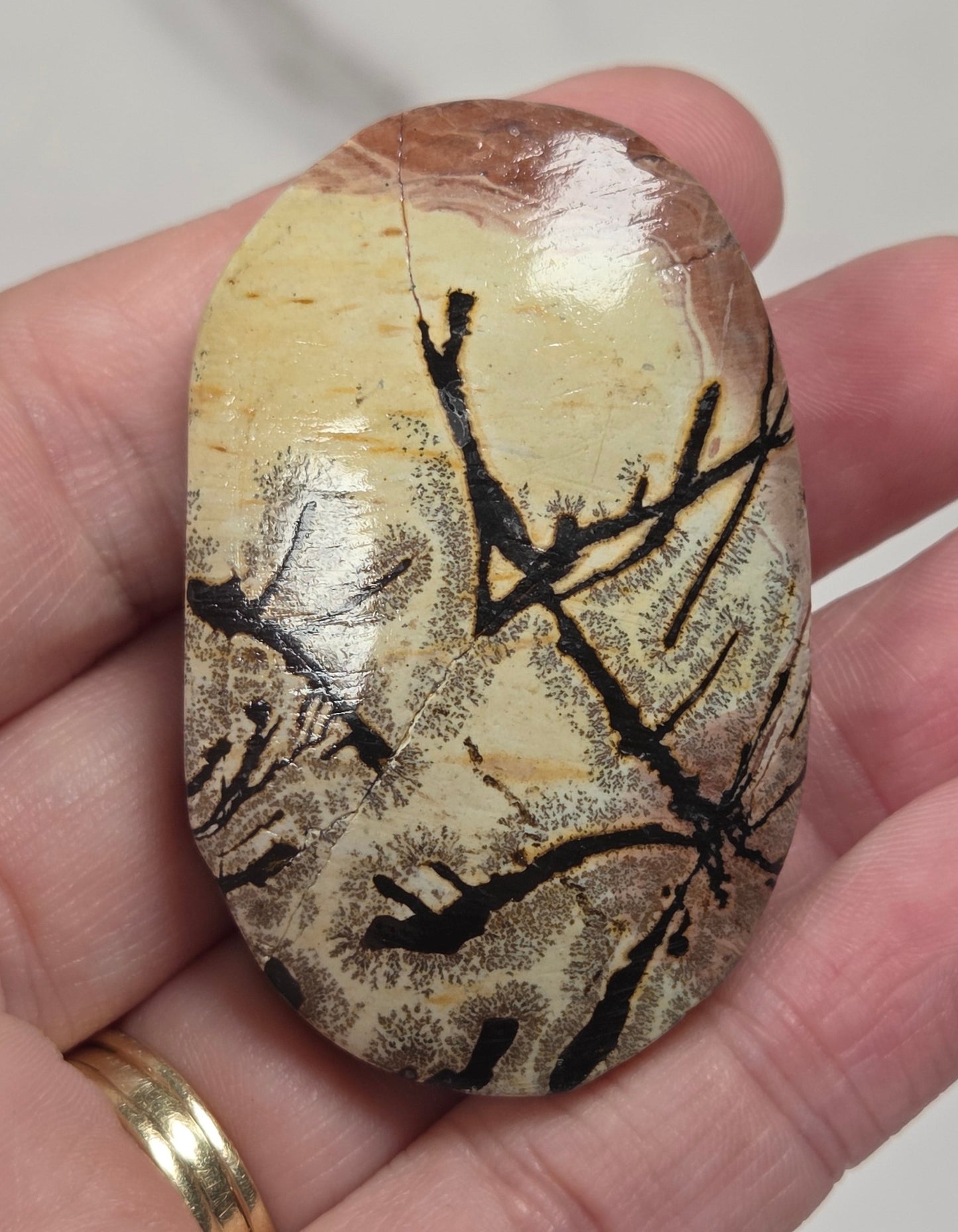 hand holding a picture jasper palm carved stones with various colors of yellow, brown and reddish brown on a white background