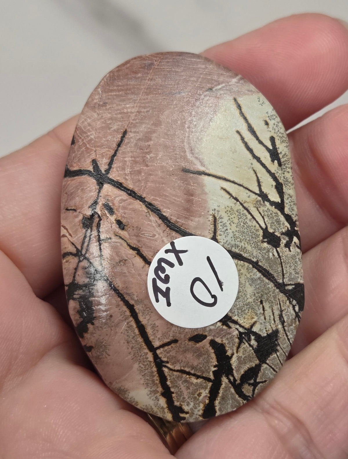 hand holding a picture jasper palm carved stones with various colors of yellow, brown and reddish brown on a white background