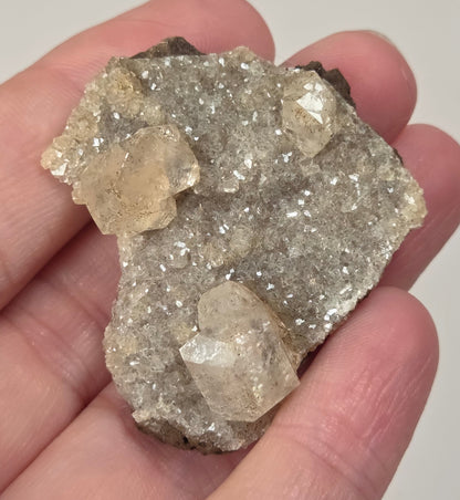 A hand holding a rough mineral specimen with several translucent pale crystal clusters on a light gray background.