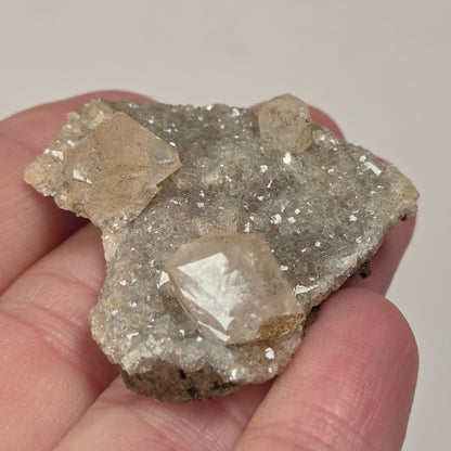 A hand holding a rough mineral specimen with several translucent pale crystal clusters on a light gray background.