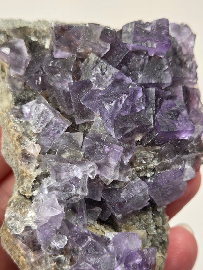 A raw fluorite crystal cluster with purple crystalline formations attached to a gray matrix, photographed on a plain white background.