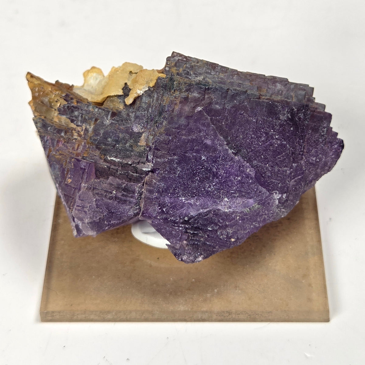 A raw purple fluorite specimen with a golden crystalline core, mounted on a square tan display block against a white background.