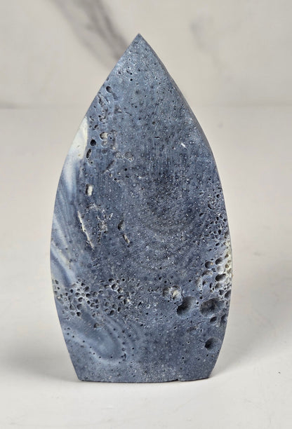 Blue Coral free form on an acrylic stand on a white background
