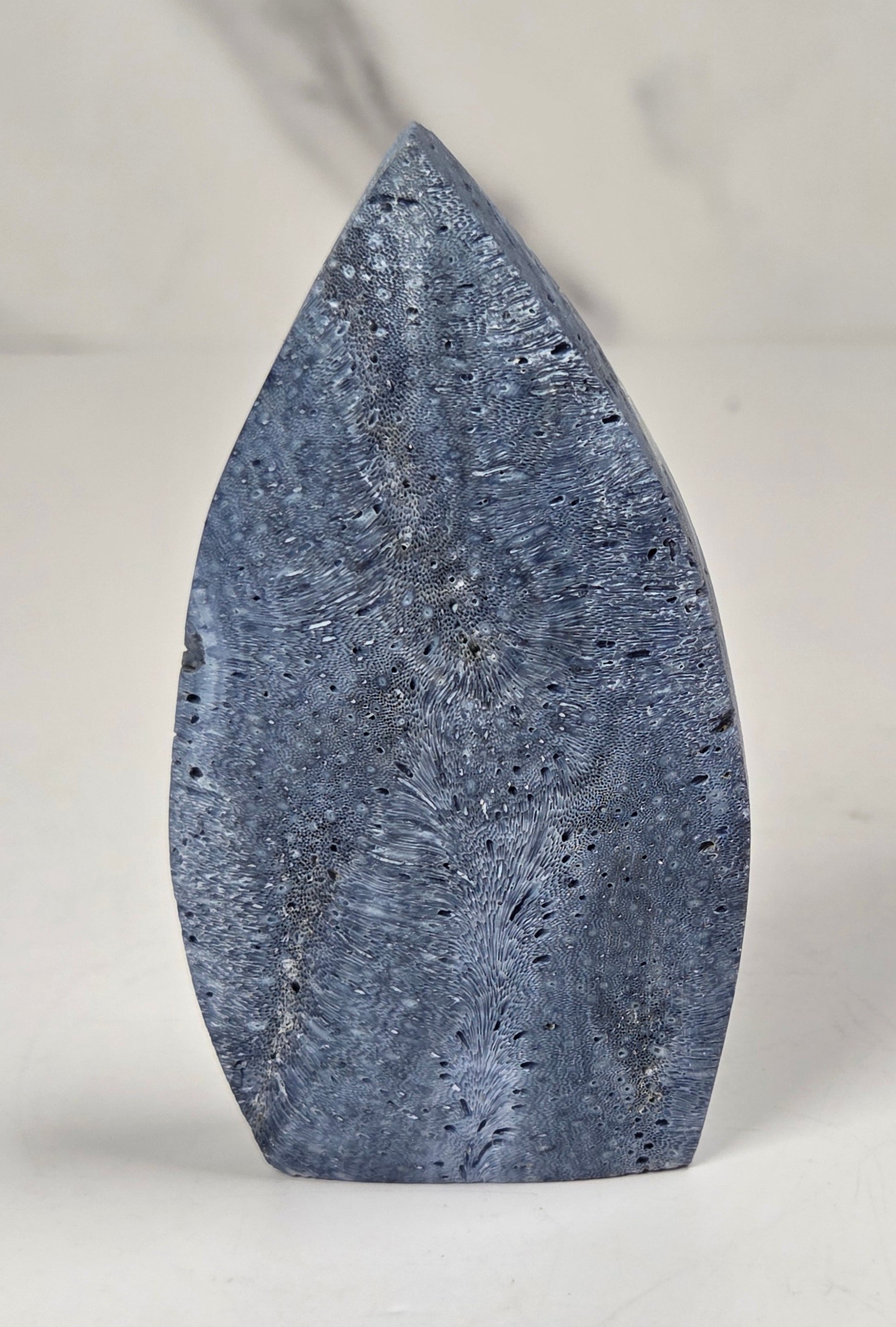 Blue Coral free form on an acrylic stand on a white background