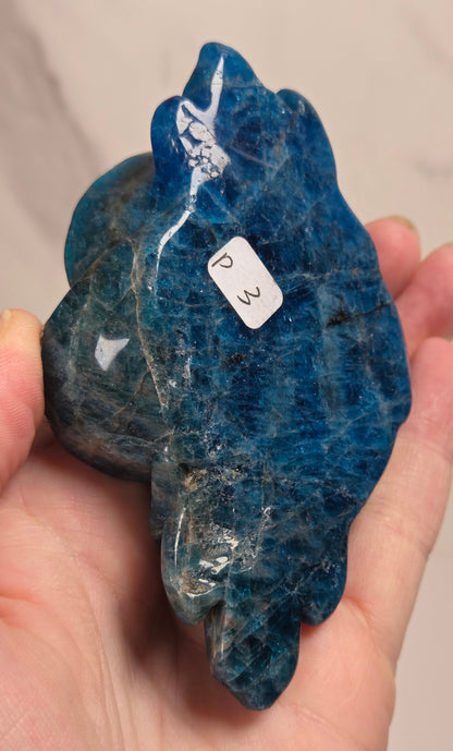 Blue Apatite Crystal rose carving being held in a hand against a white background
