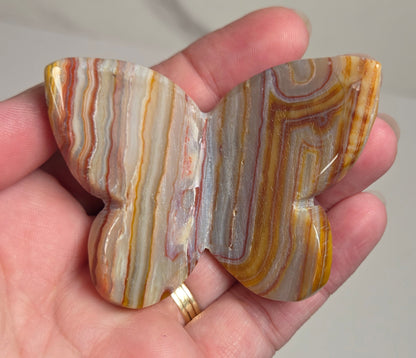 A hand holding a butterfly-shaped polished stone ornament with natural agate-like banding in cream, brown, orange, and gray tones.