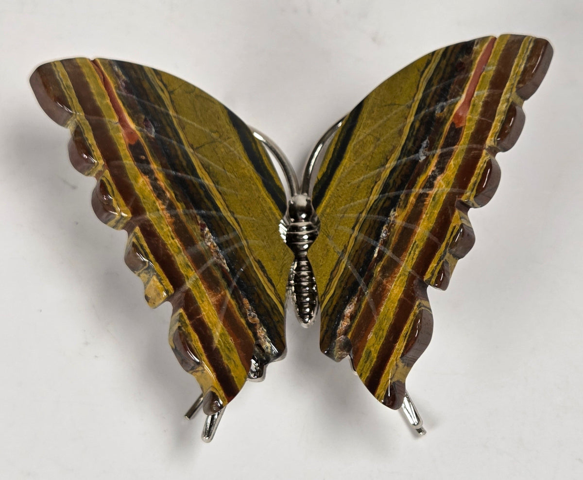 A butterfly wing brooch featuring olive green, yellow, and dark brown striped wings with scalloped edges, mounted on a silver wire frame against a plain light background.