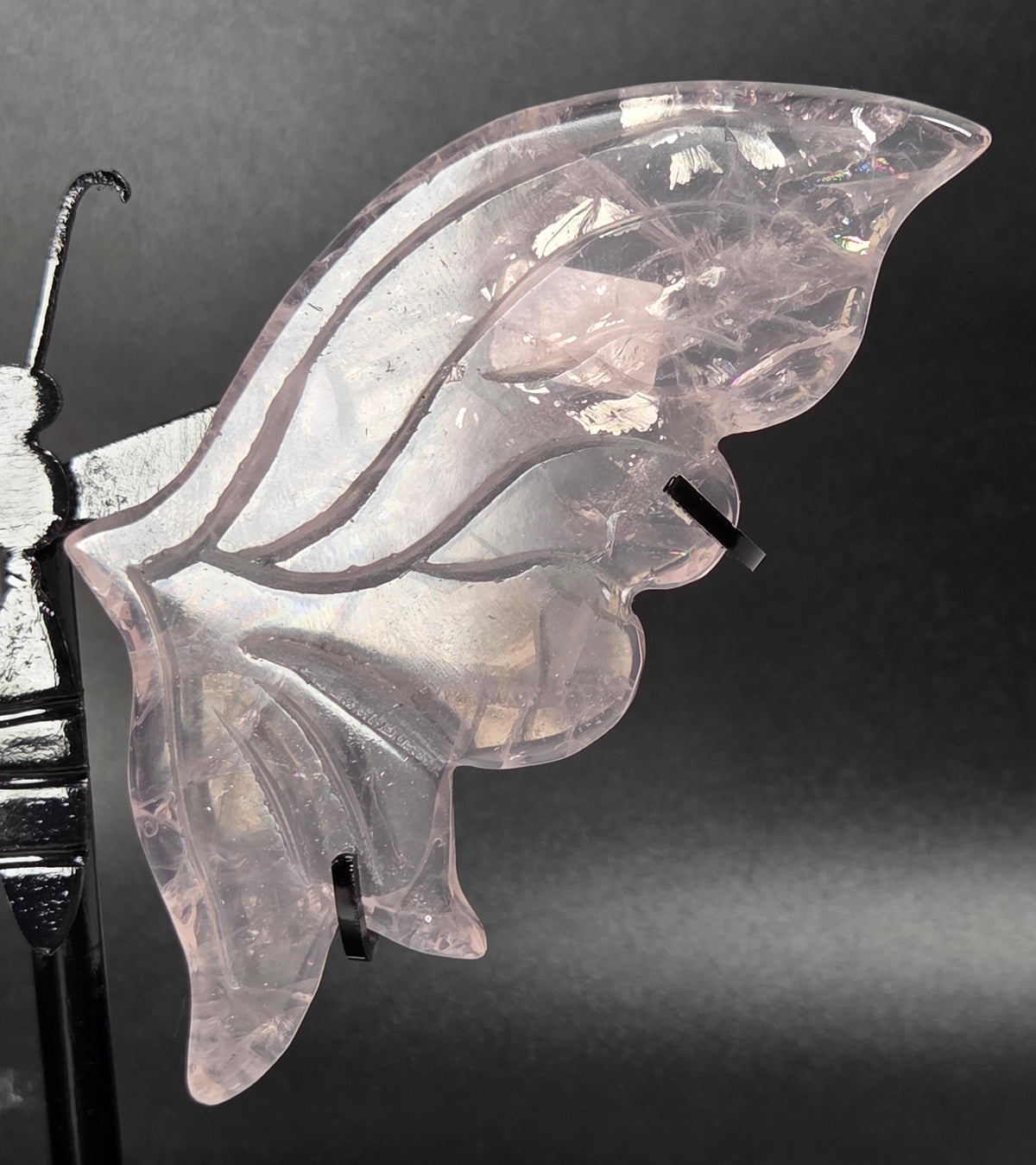 A translucent pale pink butterfly wing-shaped decorative piece mounted on a black display stand against a dark gray background.