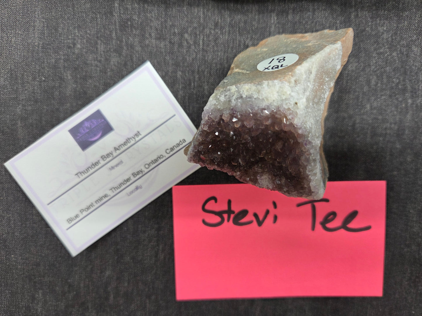 @Stevi Tee invoice 9/7