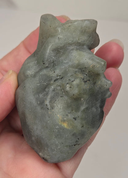 Hand holding a grey labradorite carving of an anatomical heart against a white background