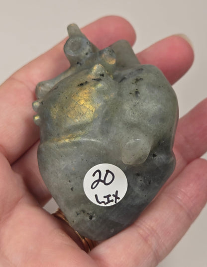 Hand holding a grey labradorite carving of an anatomical heart against a white background
