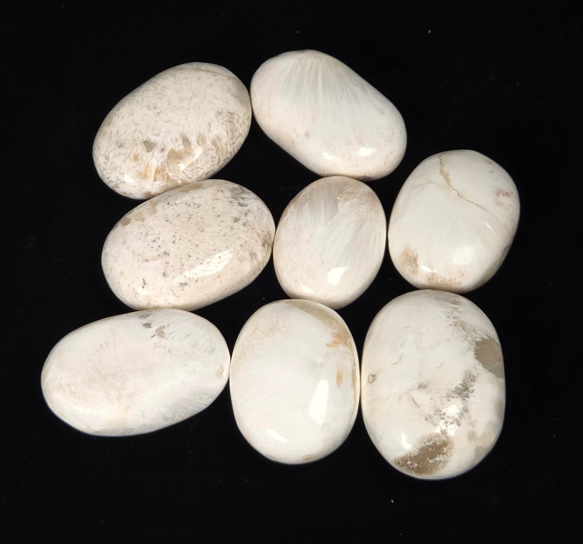collection of white crystal palm carvings against a black background