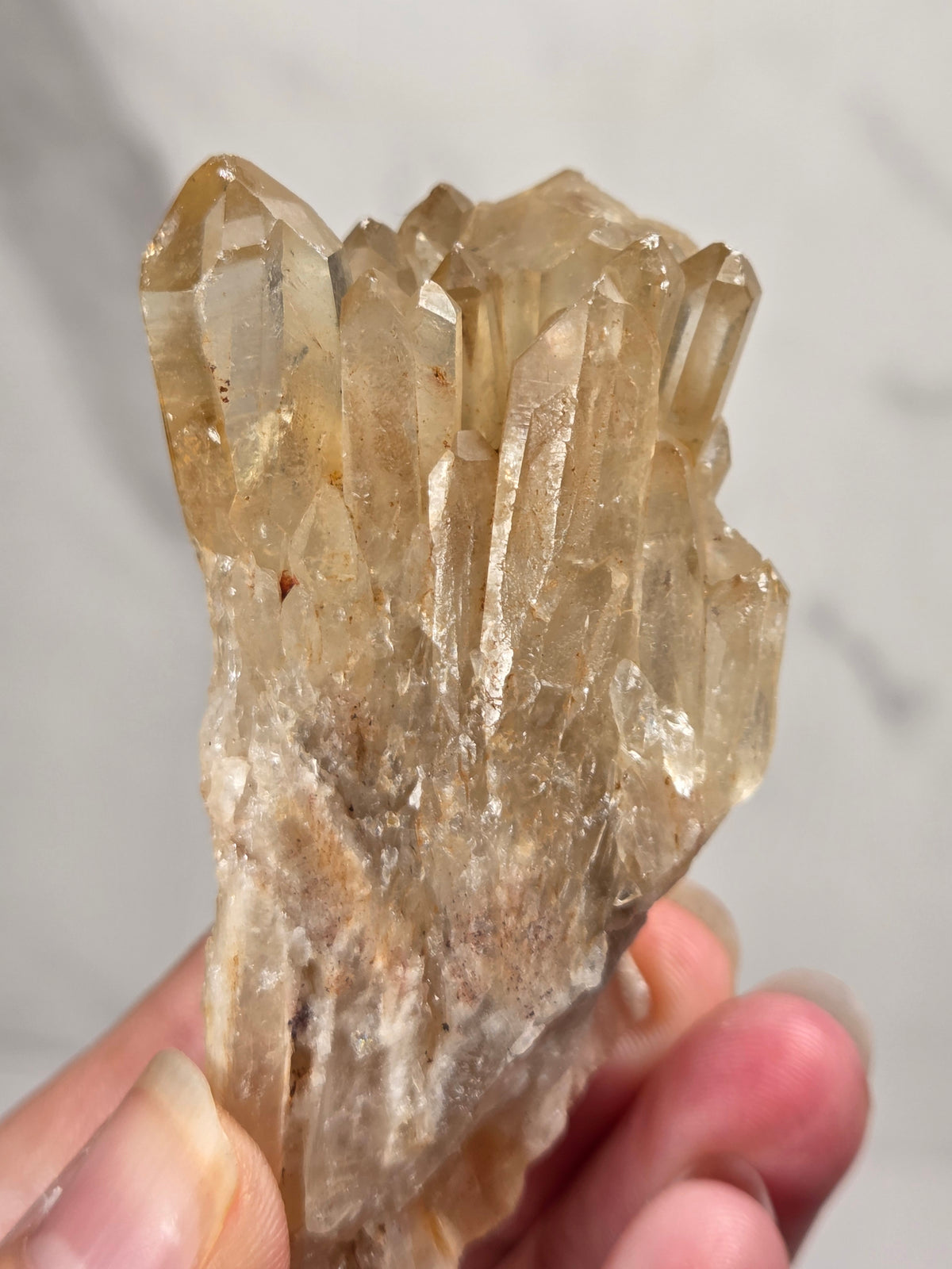 citrine cluster specimen being held in a hand  against a white marbled background