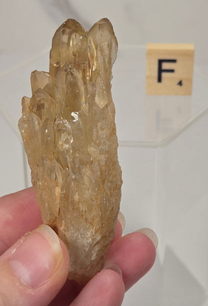 citrine cluster specimen being held in a hand with a wooden letter tile in the background against a white marbled background