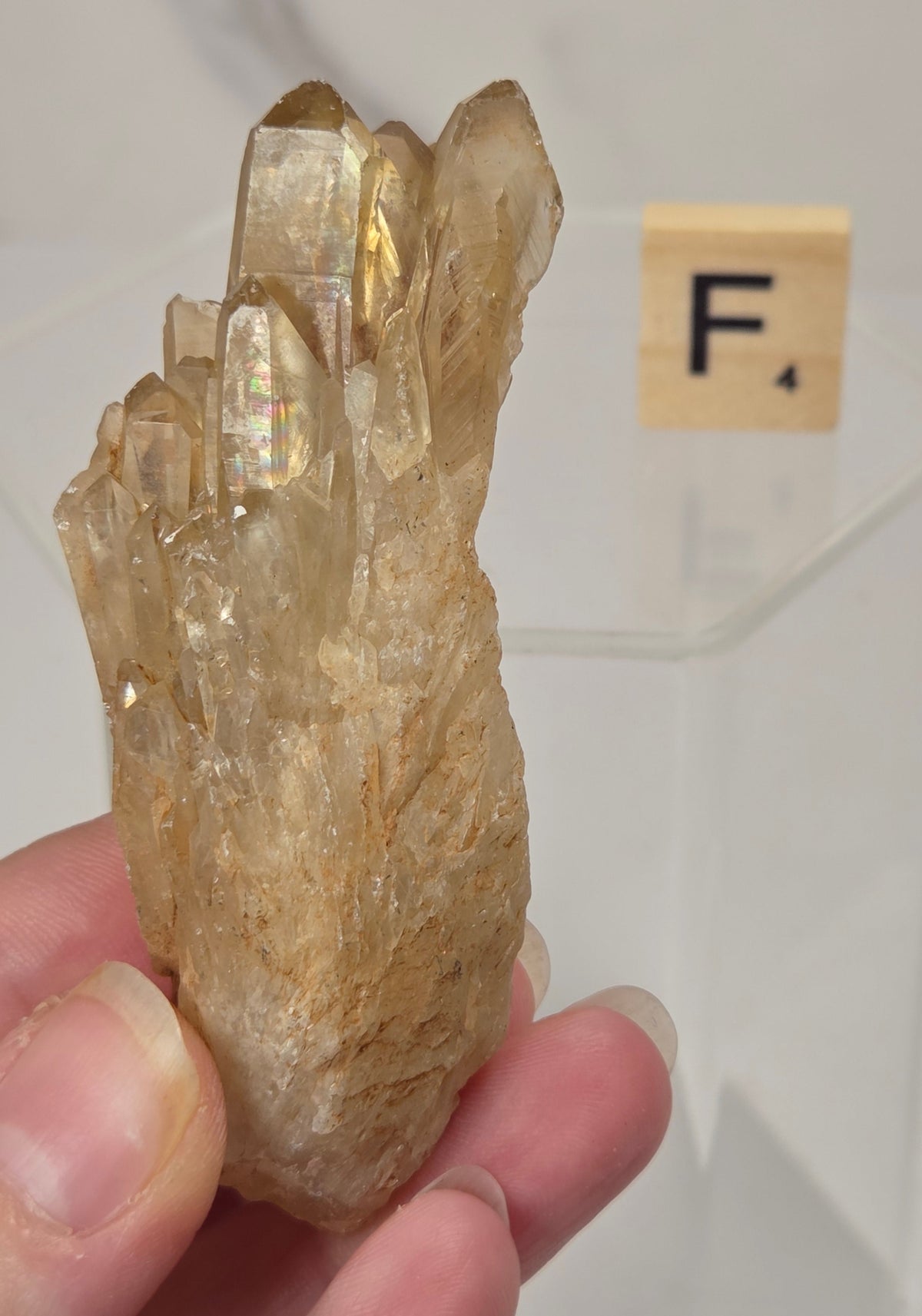 citrine cluster specimen being held in a hand with a wooden letter tile in the background against a white marbled background