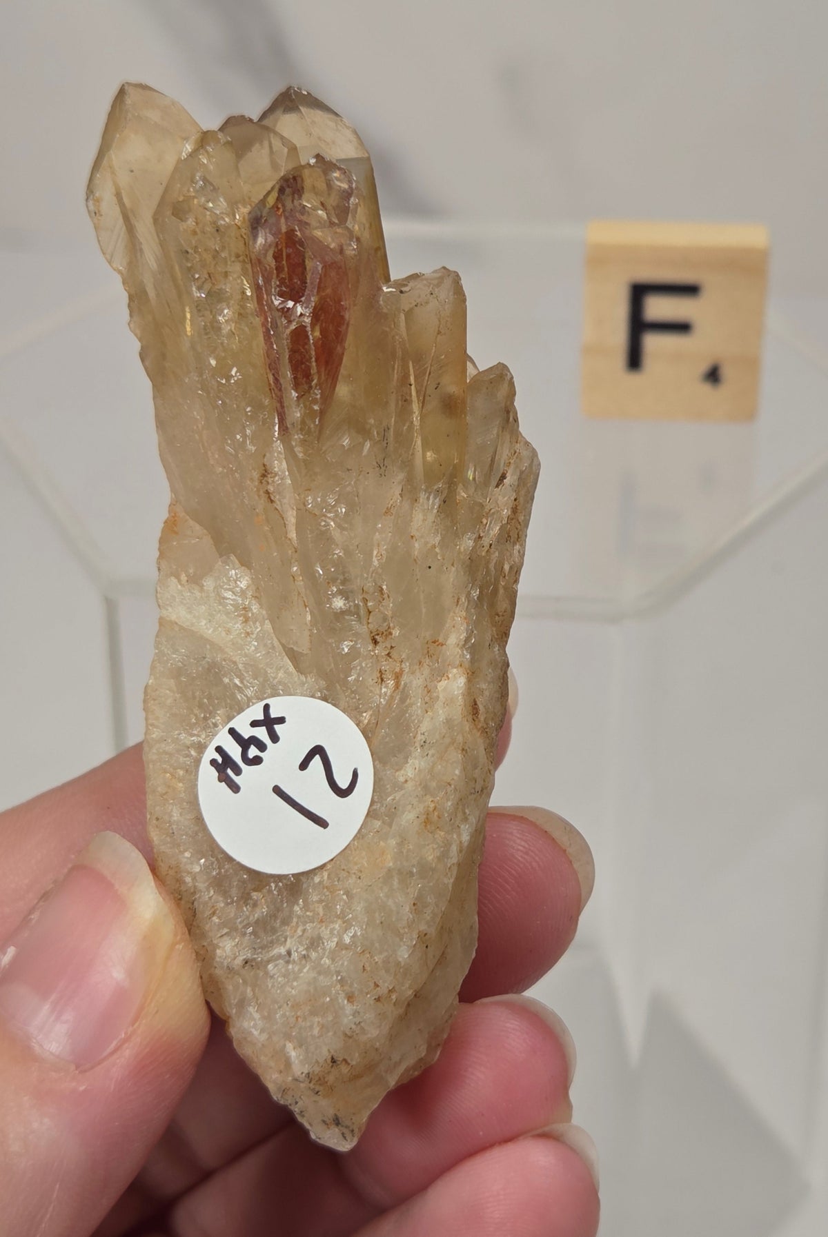A hand holds a raw quartz crystal cluster specimen with a small white label reading 'HX 21'. The crystal is semi-translucent beige and light brown with a small reddish-brown inlay near the top.