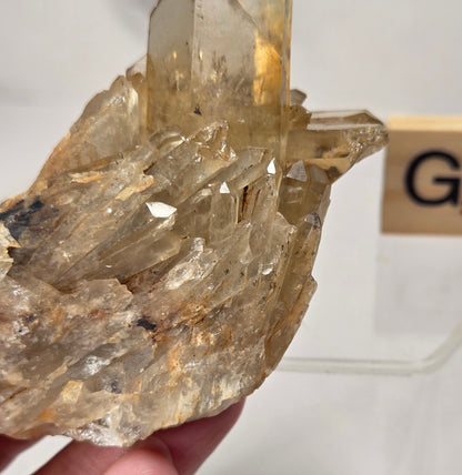 citrine cluster specimen being held in a hand with a wooden letter tile in the background against a white marbled background