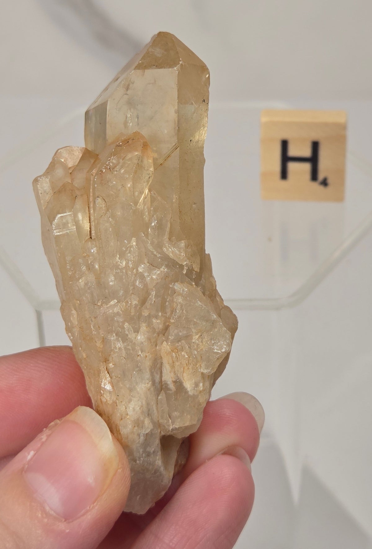 citrine cluster specimen being held in a hand with a wooden letter tile in the background against a white marbled background