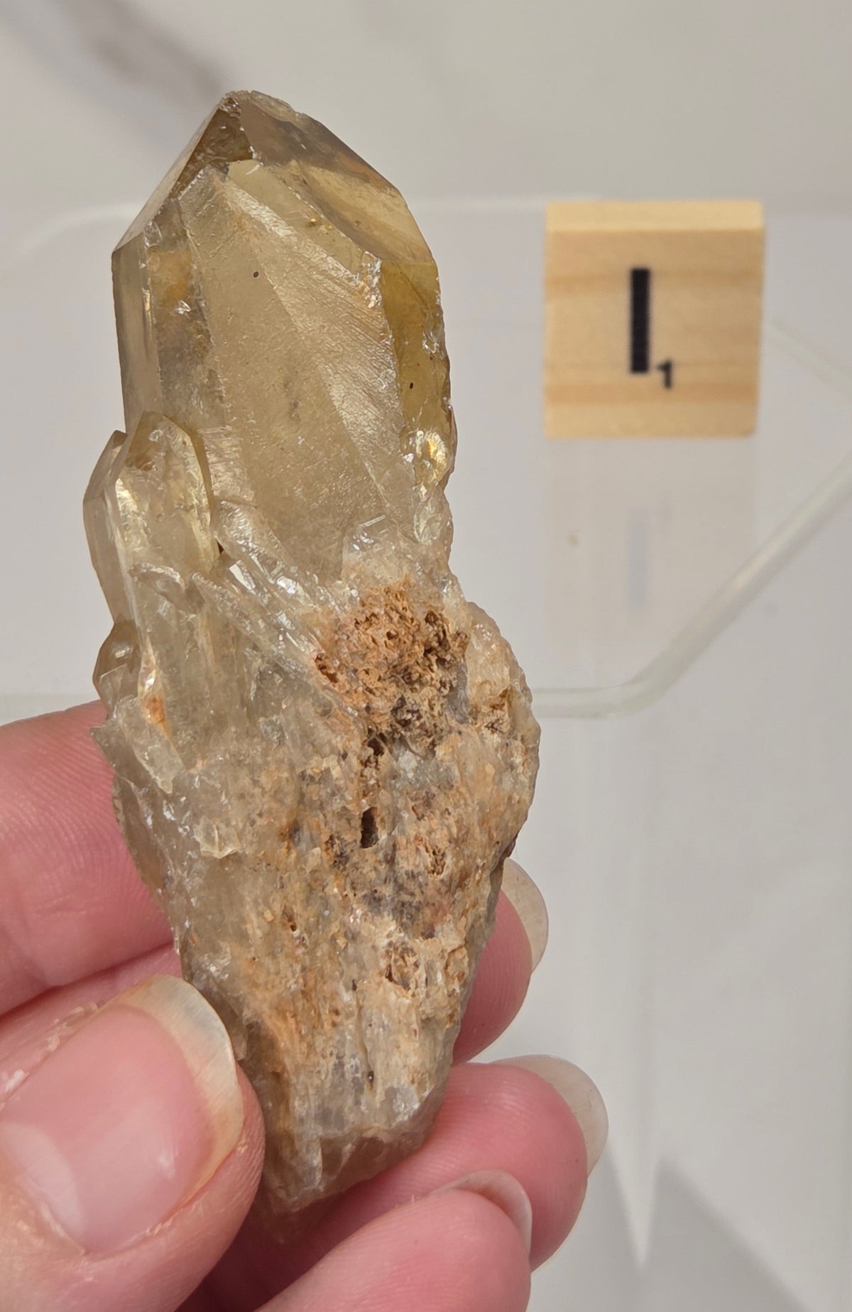 A hand holding a natural quartz crystal cluster with a rough, earthy base, displayed in front of a clear acrylic stand with a small wooden block labeled 'L' in the background.
