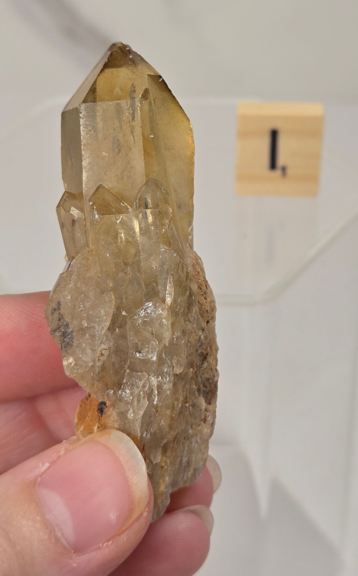citrine cluster specimen being held in a hand with a wooden letter tile in the background against a white marbled background