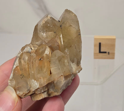 A hand holding a raw, unpolished cluster of translucent yellowish-brown quartz crystals, with a small wooden letter block displaying 'L.' in the background.