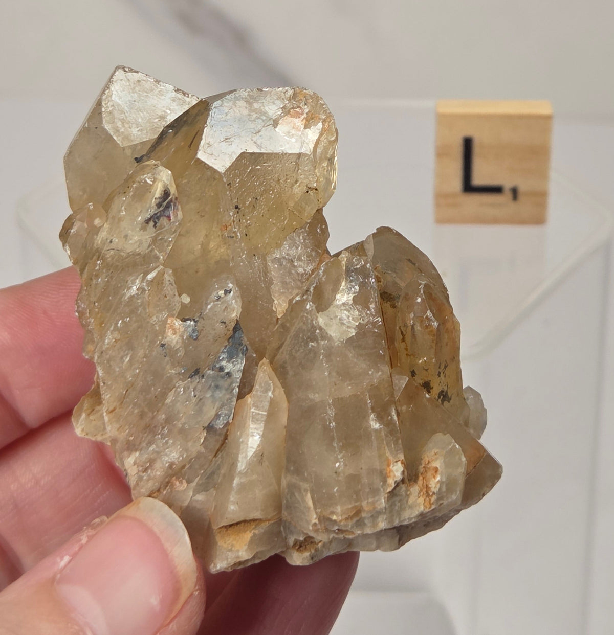 A hand holding a raw, rough crystal cluster with natural facets, showing translucent golden-brown and clear qualities. A small wooden letter block displaying 'L' sits on a clear stand in the background against a light marble-patterned wall.
