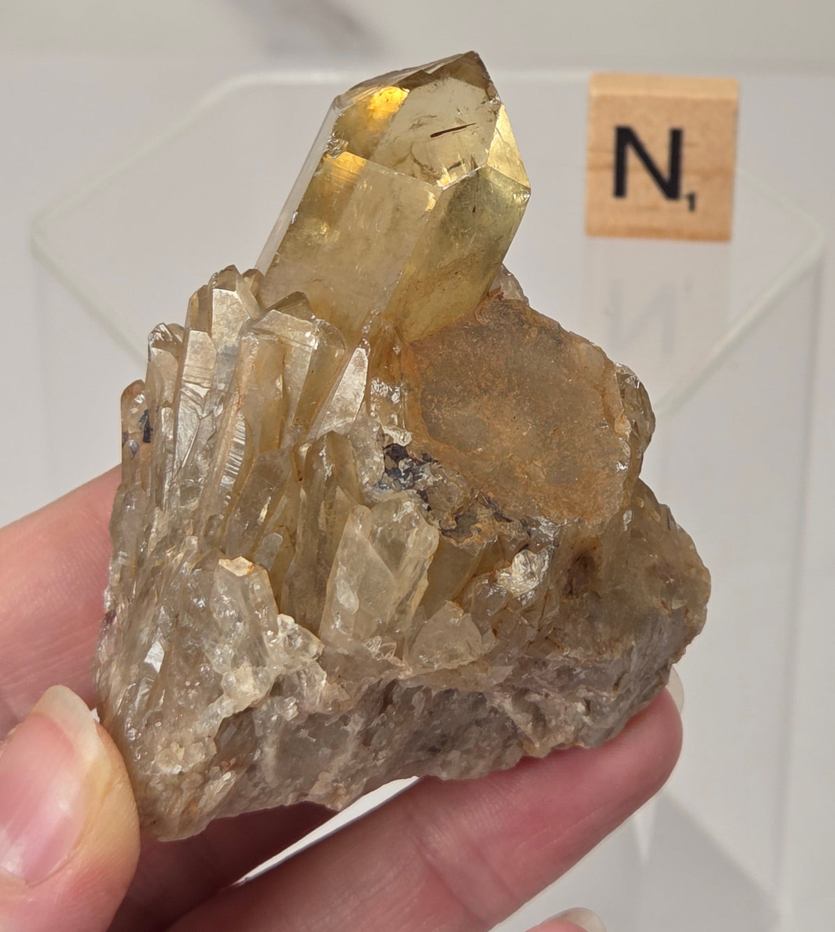 A hand holding a raw citrine crystal cluster with a prominent golden-yellow point, shown against a white marble background with a small Scrabble tile displaying 'N'.