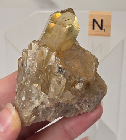 A hand holding a raw citrine crystal cluster with a prominent golden-yellow point, shown against a white marble background with a small Scrabble tile displaying 'N'.