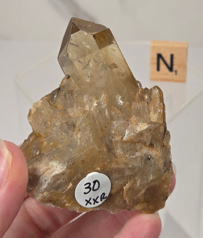 A hand holding a raw smoky quartz crystal cluster, with a small white label reading '30 XXL' attached near the base. A small wooden block with the letter 'N' is visible in the background on a white surface.