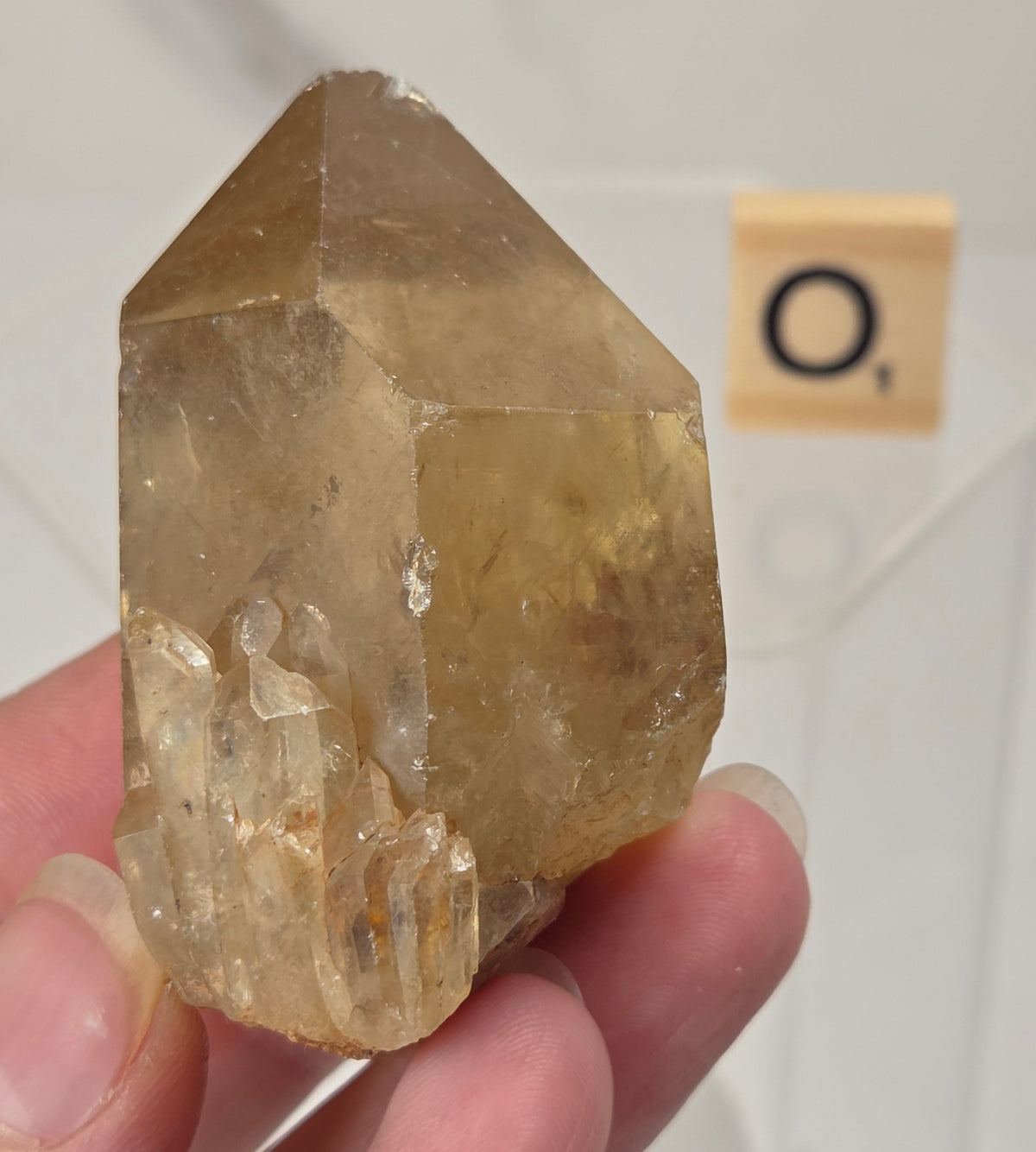 A hand holding a natural citrine crystal point, with a small wooden tile labeled 'O' in the background.