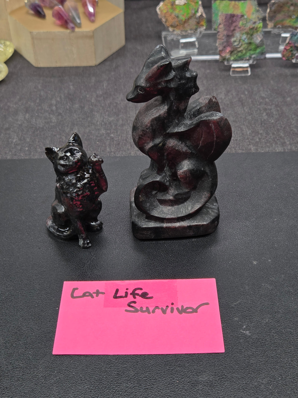 @Cat Life Survivor invoice 9/16/26