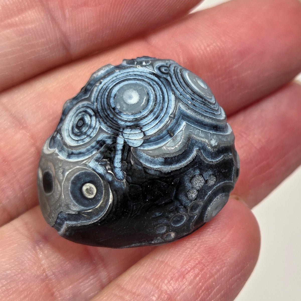 Specimens called gobi agate black coloring with orbicular patterns on a white background