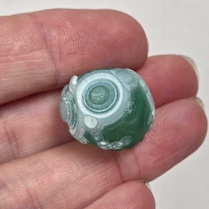 Specimens called gobi agate in green  coloring with orbicular patterns on a white background