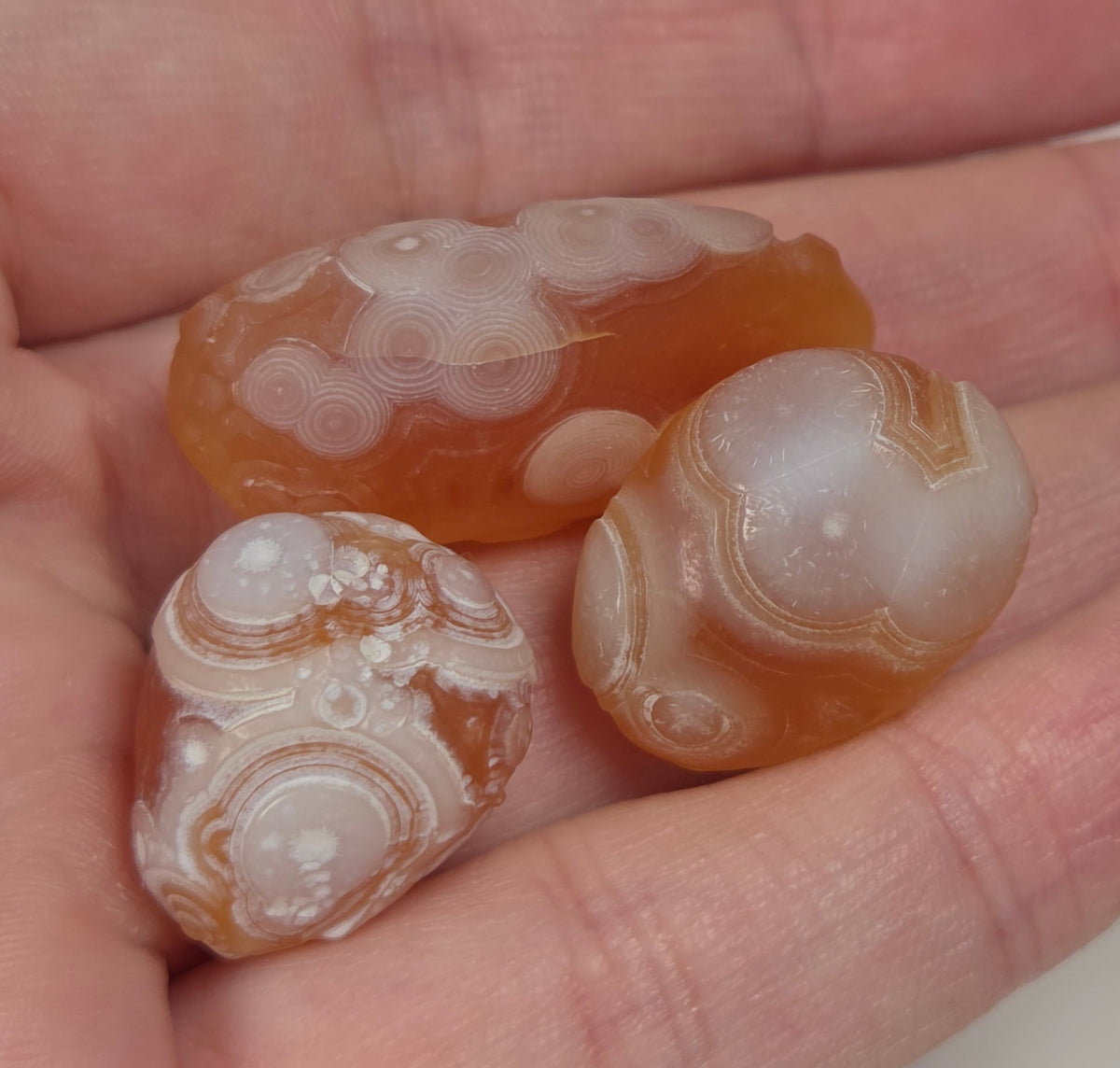 Specimens called gobi agate in orange coloring with orbicular patterns on a white background